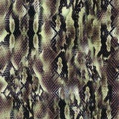 Snake skin pattern for print design seamless pattern
