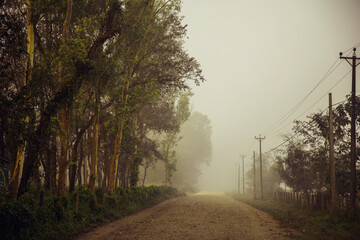 road in the fog