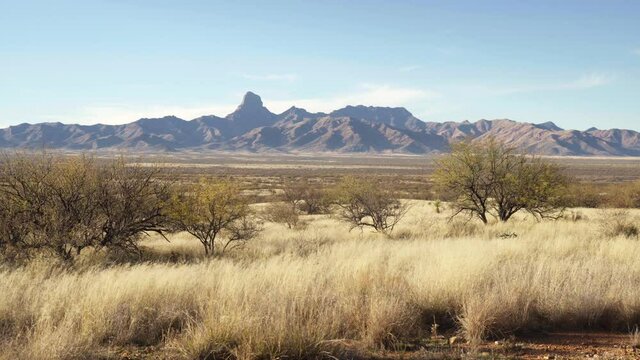 Baboquibare mountain at the wilderness of Bueno Aires National Wildlife Refuge at Southern Arizona with Mesquite trees and swaying grass. Static shot