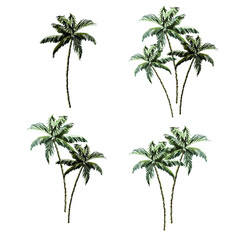 Beautiful tropical vintage coconut palm trees floral clip art. Exotic botanical print.  © Hanna Kh