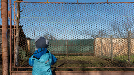 Child looking through metal fence