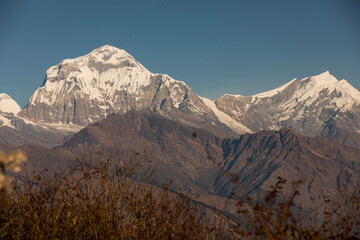 Himalayan mountain peak Annapurna Range during sunrise.
