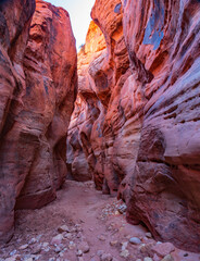 Sandstone Cliffs of Buckskin Gulch