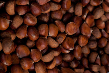 Fresh organic hazelnuts top view.