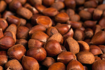 Pile of fresh organic hazelnuts