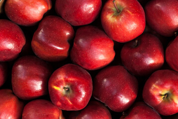 Fototapeta na wymiar Ripped raw red apples group