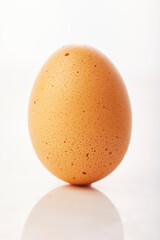Brown egg food on white background.
