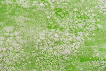 hintergrund, grün, aquarell, salztechnik, wiese, pflanze, weiße blüten, sterne, karten, platz für text, struktur, floral, aquarellfarben, blüte, urwald, natur, aquarellieren, aquarelltechnik, einladun