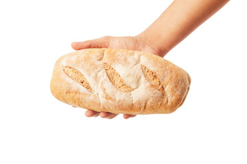 Hand holds a long loaf of bread on white.