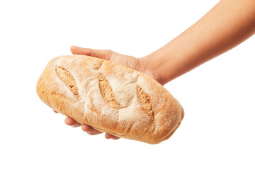 Hand holds a long loaf of bread on white.