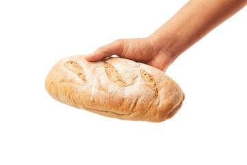 Hand holds a long loaf of bread on white.