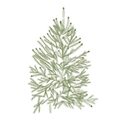 Fir evergreen tree vector illustration. Christmas tree. Realistic plant. Isolated on a white background.