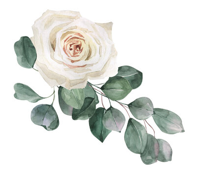 Watercolor hand drawn rose and eucalyptus bouquet. Perfect for invitation and social media.