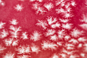 Hintergrund rote Aquarellfarbe mit Salztechnik wirkt wie weiße Kristalle oder Blüten für Karten geeignet mit Platz für Text