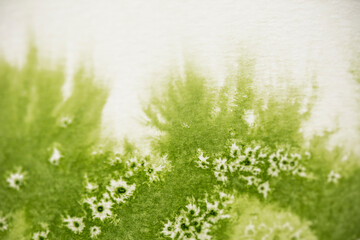 Fototapeta na wymiar Hintergrund, grünes Aquarell mit Salztechnik wirkt wie eine Wiese oder Pflanze mit weiße Blüten oder Sternen