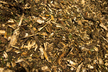 biomass in the form of wood chips with impurities lying on a heap as fuel