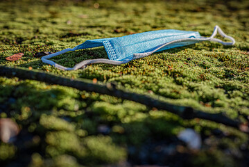 Blue mask in moss