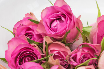 Rosen ein Geschenk zum Valentinstag und auch zum Geburtstag.