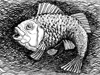 Fisch Zeichnung mit Tusche, Tuschezeichnung