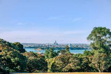 Skyline of Auckland behind trees
