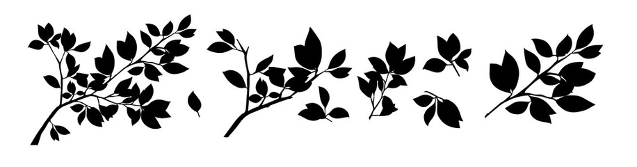 Summer tree branch with monochrome leaves. Vector illustration © Мария Неноглядова