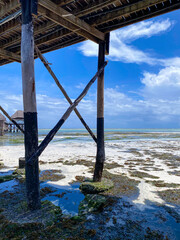 Shallow water under the Melia hotel pier, Kiwengwa, Zanzibar