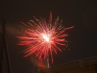 fireworks in the night sky. Colorful flashes of fire on black background. Celebration, festival or...