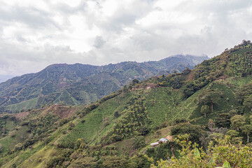 Naklejka na ściany i meble view of the mountains in Santa María Huila Colombia Coffe