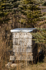 old beehive in a wisconsin nature conservancy 