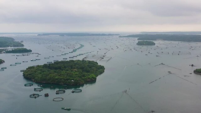 Fisheries on Luzon Island, Philippines. Fish farm, top view. Aerial view of fish ponds for bangus, milkfish.