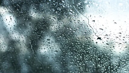 raindrops descend on the glass against the background of the forest. time lapse 4K