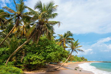 Fototapeta na wymiar A view of Mirissa beach in Sri Lanka