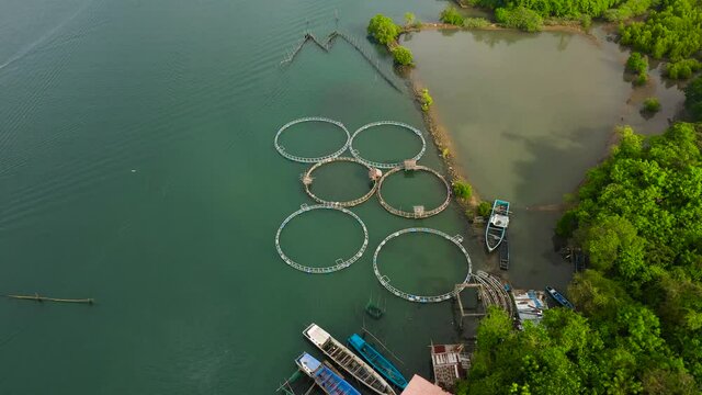 Fisheries on Luzon Island, Philippines. Fish farm, top view. Aerial view of fish ponds for bangus, milkfish.