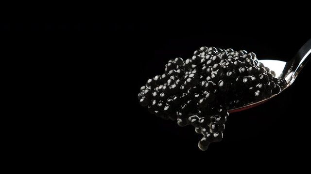 delicious black paddlefish caviar in metal spoon on black background, close up