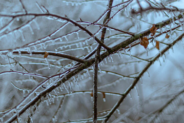 2021 New Year's Day Midwest Ice Storm 
