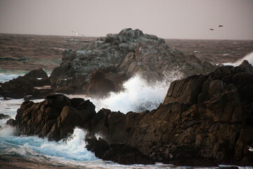 Wave crashing onto a rocky shore
