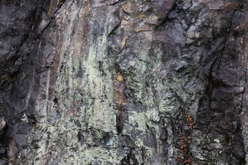 Stone abstraction from nature for texture or abstraction.