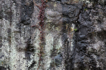 Stone abstraction from nature for texture or abstraction.
