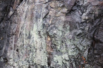 Stone abstraction from nature for texture or abstraction.