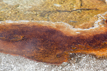 Abstraction from a hot spring in Yellowstone