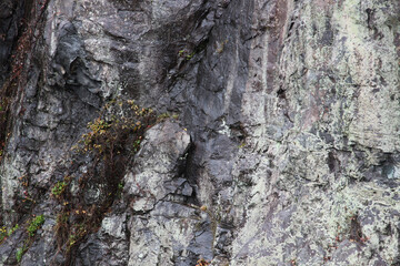 Stone abstraction from nature for texture or abstraction.