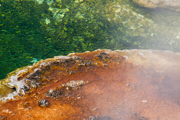 Abstraction from a hot spring in Yellowstone