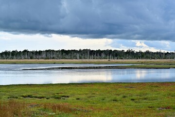 風蓮湖春国岱の遊歩道からみた晩秋の情景＠北海道