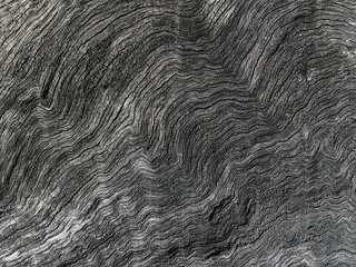 Dark wood pattern background  Black for design