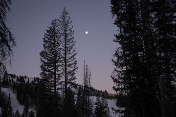 Moonlit sunrise in utah