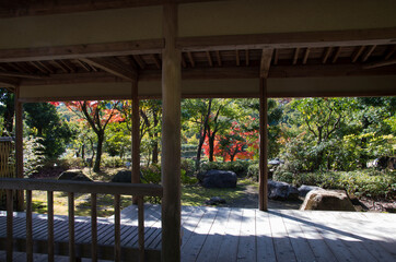 グリーンピア春日井の紅葉