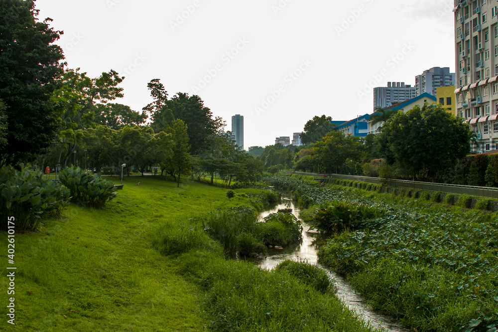 Wall mural Bishan-Ang Mo Kio Park is a major park in Singapore, located in the popular heartland of Bishan. In the middle of the park lies the Kallang River, which runs through it in the form of a flat riverbed.