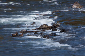 cascades over rocks