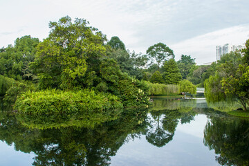 Fototapeta na wymiar Bishan-Ang Mo Kio Park - Pond Gardens in Singapore, located in the popular heartland of Bishan. In the middle of the park lies the Kallang River, which runs through it in the form of a flat riverbed.