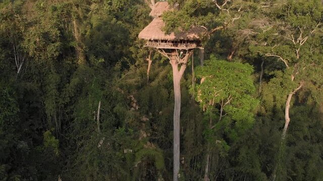 Aerial view of treehouse consturction in Laos.